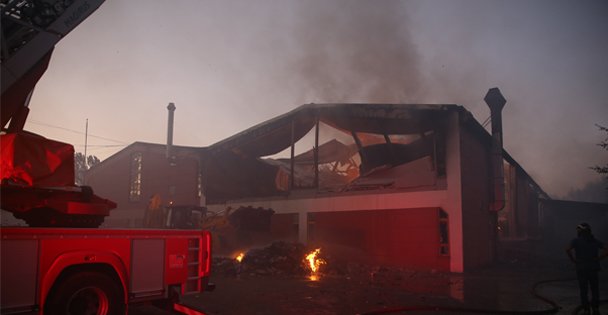 Gebze'de orman yangını
