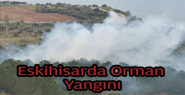 Gebze'de ormanlık alanda çıkan yangın söndürüldü