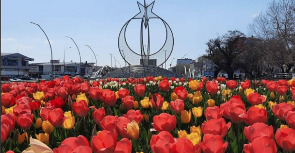 Gebze'de Parklar Çiçek Açtı