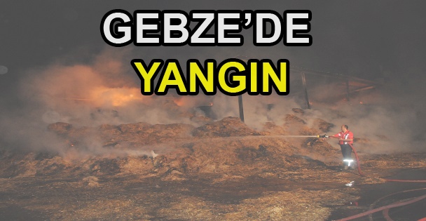 Gebze'de Samanlık Yangını