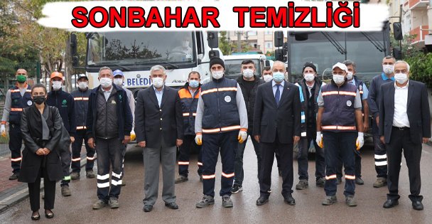 Gebze'de Sonbahar Temizliği