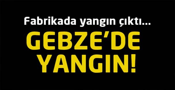 Gebze'de yangın!