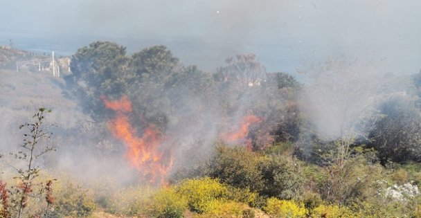 Gebze'de yangın