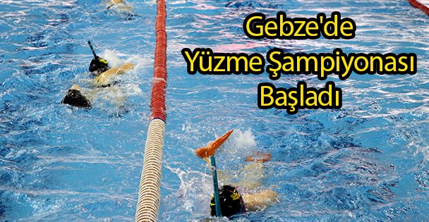 Gebze'de Yüzme Şampiyonası Başladı