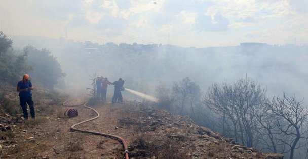 Gebze'deki Orman Yangını Söndürüldü