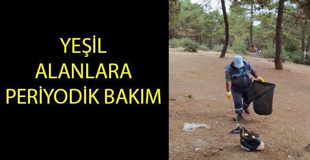 Gebze'deki yeşil alanlara periyodik bakım