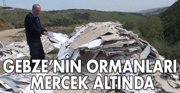Gebze'nin ormanları mercek altında