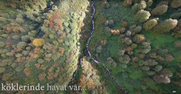 Geçmişten Günümüze Ormancılık Belgeselimiz