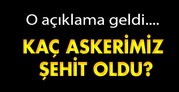 Genelkurmay şehit sayısını açıkladı