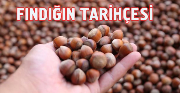 Giresun'da fındığın tarihçesi