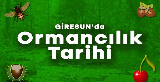 GİRESUN'da Ormancılık Tarihi - Belgesel