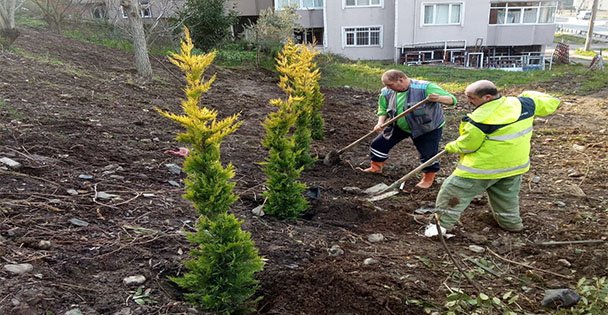 Gölcük'te vatandaş talep etti, çevre düzenlemesi yapıldı