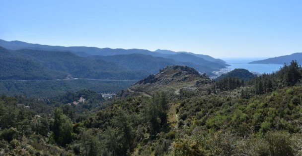 Google'dan Dünya Günü Mesajı