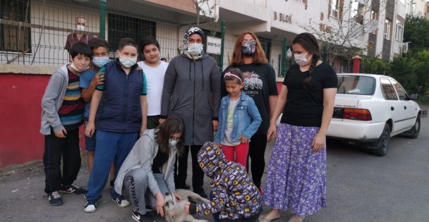 Hafif Ticari Aracın Yavru Köpeği Ezdiği Anlar Güvenlik Kamerasında