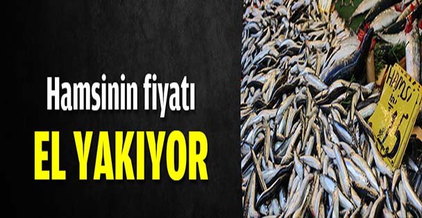 Hamsinin fiyatı el yakıyor