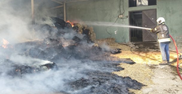 Harada çıkan yangında 70 balya saman yandı
