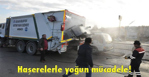 Haşerelerle yoğun mücadele!