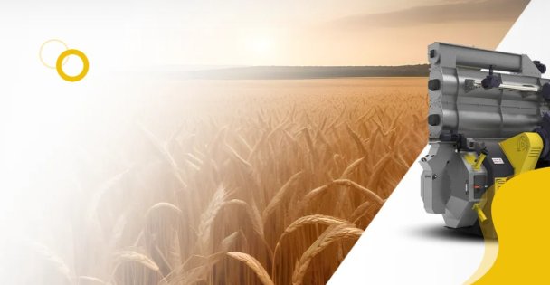 Helezon Yaprağı Nedir?