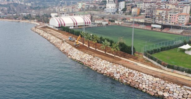 Hereke Sahili'ne palmiyeler dikildi