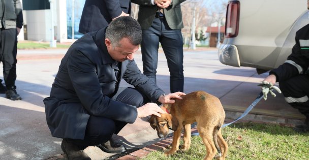 ”Hiçbir Canlıyı İncitmeyelim”