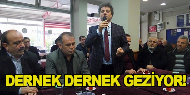 Höbek dernek dernek geziyor!