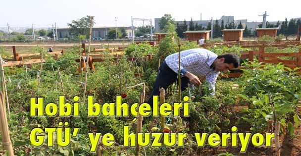 Hobi bahçeleri GTÜ' ye huzur veriyor