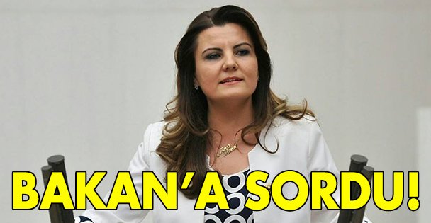 Hürriyet Bakan'a sordu!