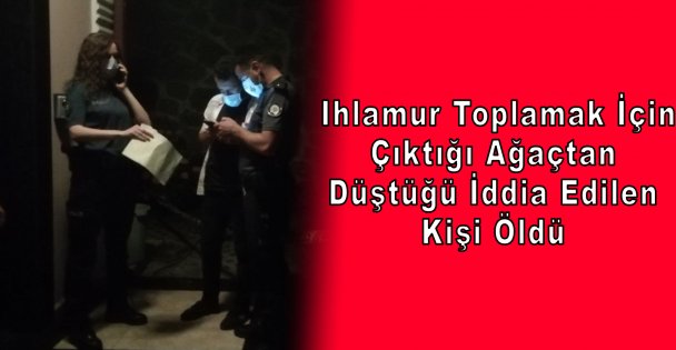 Ihlamur Toplamak İçin Çıktığı Ağaçtan Düştüğü İddia Edilen Kişi Öldü