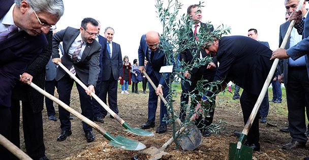 Afrin şehitleri anısına diktiler