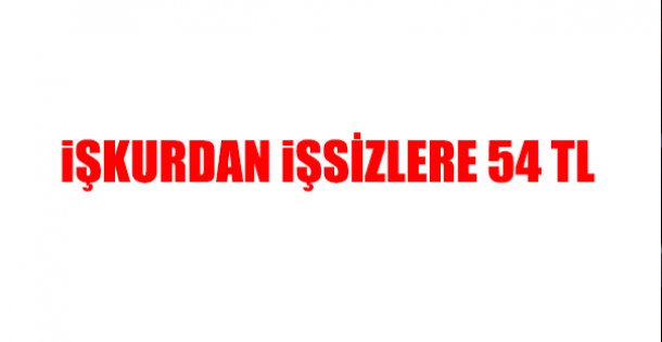 İŞKUR'dan İşsizlere 54 TL