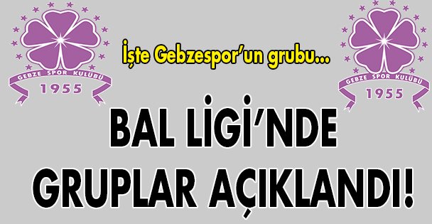 İşte Gebzespor'un grubu!