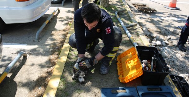 İtfaiye Ekipleri Yavru Köpeği Sıkıştığı Su Kanalından Kurtardı