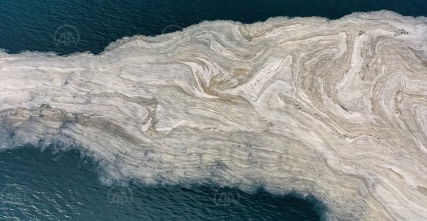 İzmit Körfezi'nde deniz salyası beyaz tabaka oluşturdu