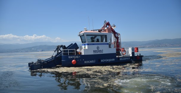 İzmit Körfezi'nde müsilaj temizleme çalışmaları devam ediyor