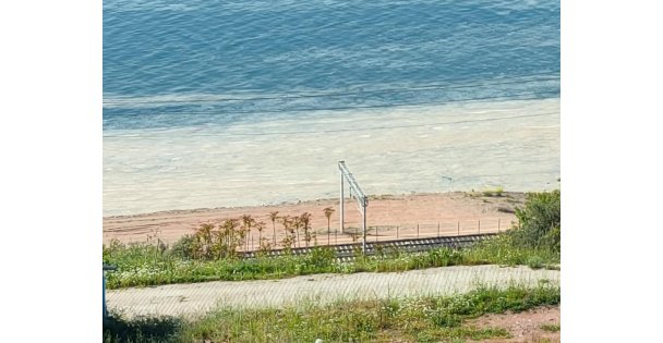 İzmit Körfezindeki Kirlilik Korkutuyor