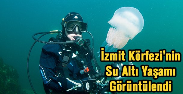 İzmit'in Su Altı Yaşamı Görüntülendi