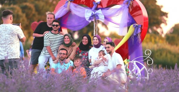 İzmit'in mor bahçesi göz kamaştırıyor