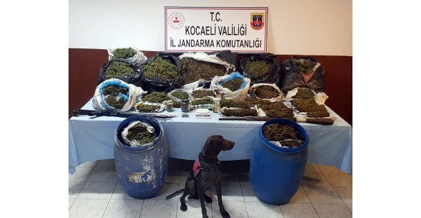 İzmit'te bir evde 61 kilogram esrar ele geçirildi