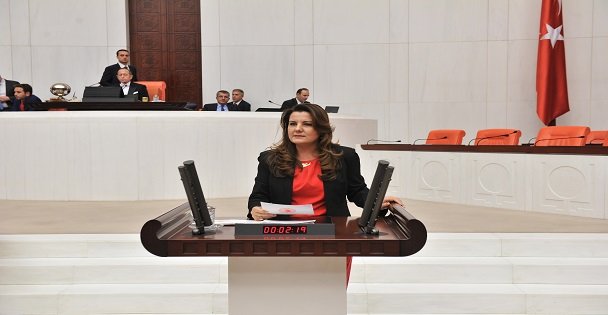 İzmit'teki Sinek Salgını Mecliste