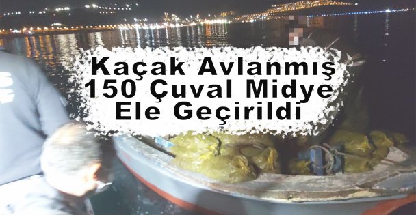 Kaçak Avlanmış 150 Çuval Midye Ele Geçirildi