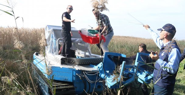 Kaçak midye avcılarına ceza