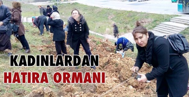 Kadınlar hatıra ormanı oluşturdu