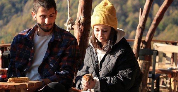 Kafe işletmecisi çiftin ormanda bulduğu sincap aileden biri oldu
