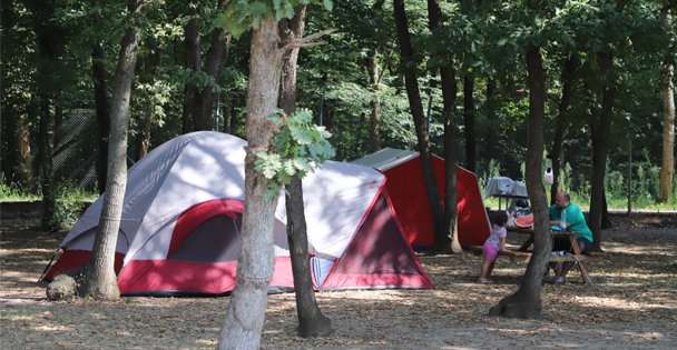 Kamp tutkunlarının ilk rotası; 'Ormanya”