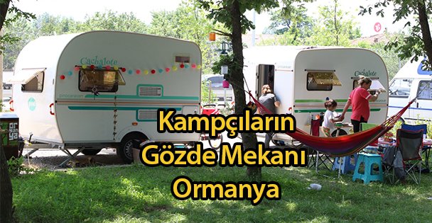 Kampçıların Gözde Mekanı Ormanya