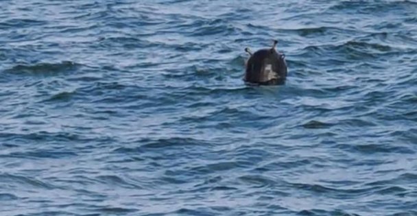 Kandıra Açıklarında Mayın Tespit Edildi