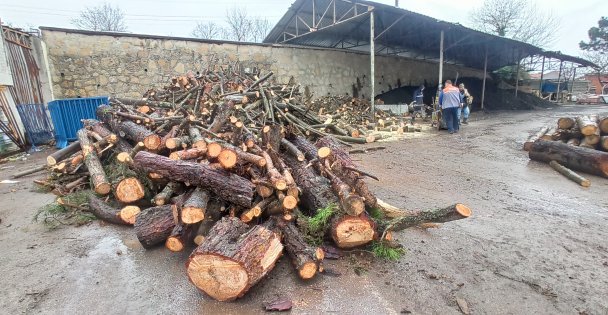 Kandıra Belediyesinden 400 aileye yakacak yardımı