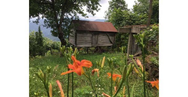 Karadeniz'e Veda Ederken