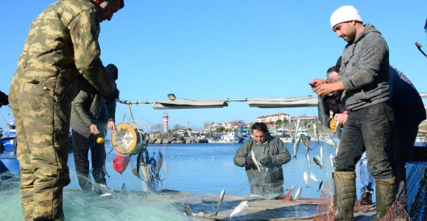 Karadeniz'in incisi çinekop, yeni yılın ilk ayında yüzleri güldürdü