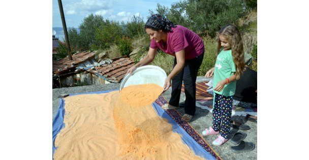 Karamürsel'de kadınlar imece usulü tarhana yapıyor